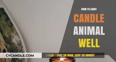 Mastering the Art of Lighting Candles for Your Pet's Safety and Comfort