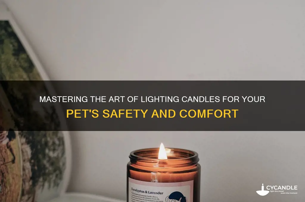 how to light candle animal well