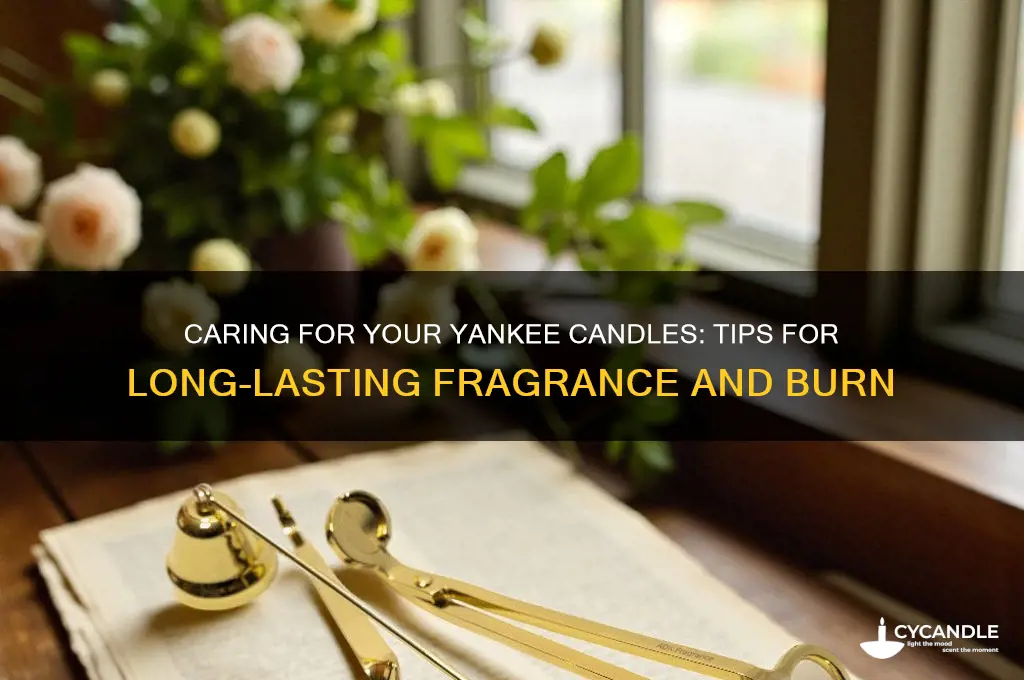 how to look after yankee candles
