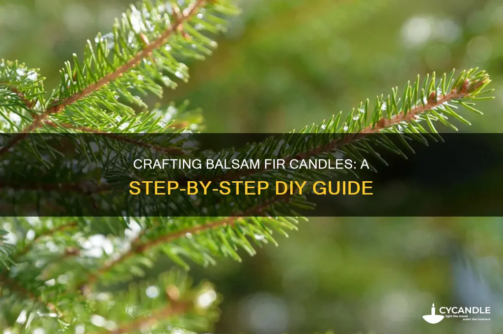 how to make a balsam fir candle