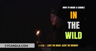 Crafting Wilderness Candles: A Survival Guide to Making Light in Nature