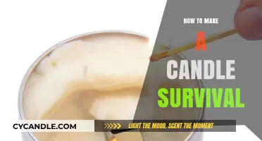 Crafting Survival Candles: Essential Tips for Emergency Lighting Solutions