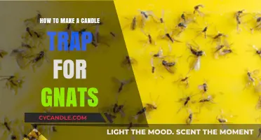 Effective DIY Candle Trap to Eliminate Gnats in Your Home