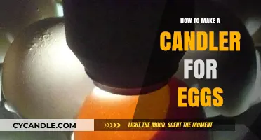 DIY Egg Candler: Simple Steps to Build Your Own at Home