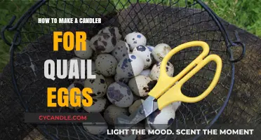DIY Quail Egg Candler: Simple Steps for Hatching Success