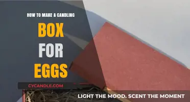 DIY Candling Box: A Simple Guide to Inspecting Eggs at Home
