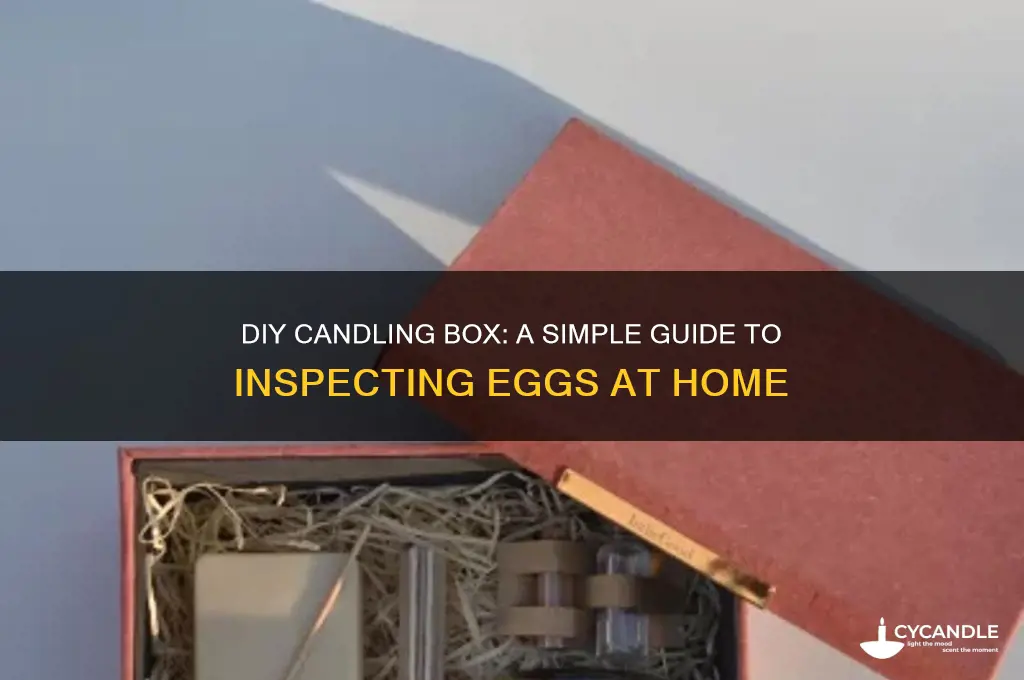 how to make a candling box for eggs