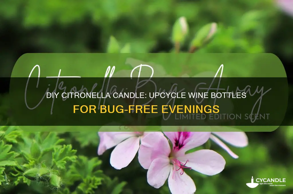 how to make a citronella candle from a wine bottle