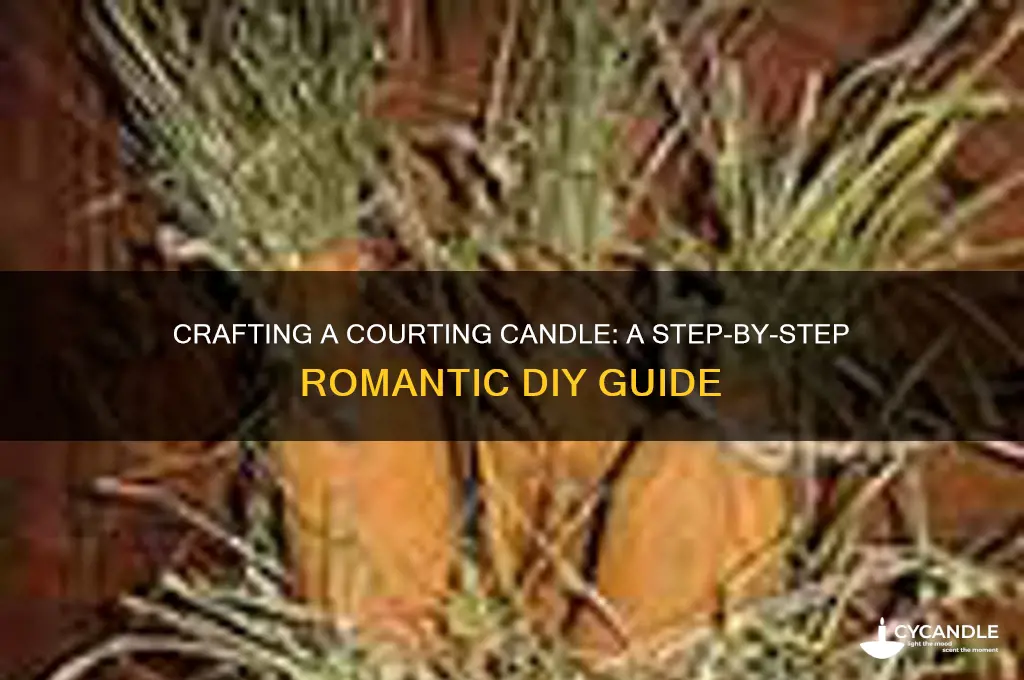 how to make a courting candle