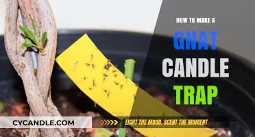 DIY Gnat Candle Trap: Simple Steps to Bug-Free Living