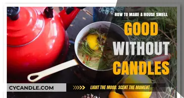 Freshen Your Home Naturally: Scented Solutions Beyond Candles