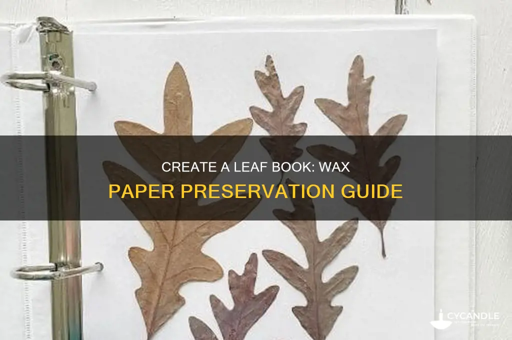 how to make a leaf book with wax paper