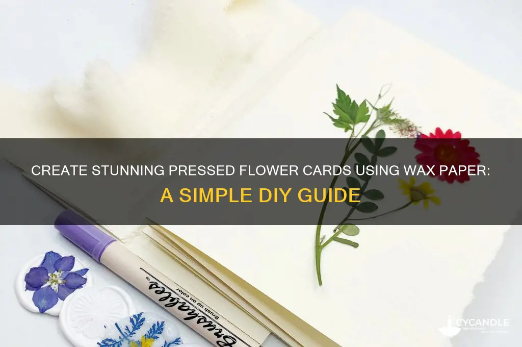 how to make a pressed flower card with wax paper