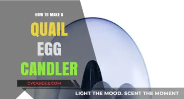 DIY Quail Egg Candler: Simple Steps for Hatching Success