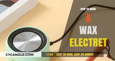 Crafting a Wax Electret: Simple DIY Guide for Beginners