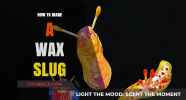 Crafting Wax Slugs: A Step-by-Step Guide for Beginners