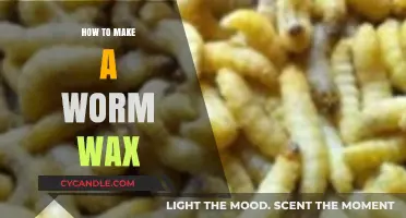 Crafting Worm Wax: A Step-by-Step Guide to Homemade Creation