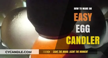Simple DIY Egg Candler: A Beginner’s Guide to Hatching Success