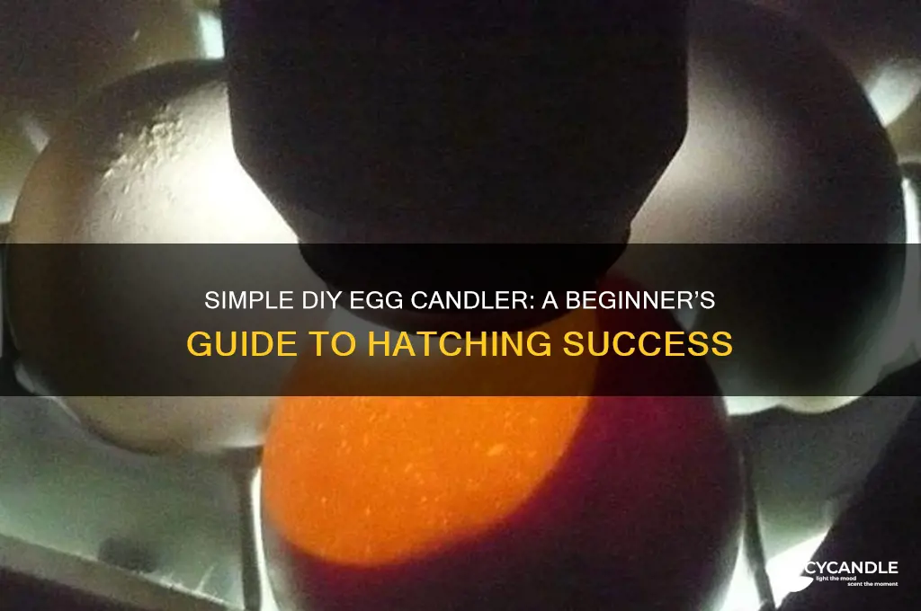 how to make an easy egg candler