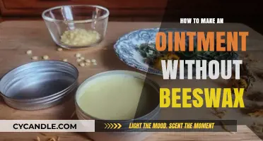 DIY Beeswax-Free Ointment: Simple Homemade Healing Balm Recipe