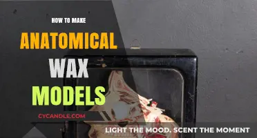 Crafting Lifelike Anatomical Wax Models: A Step-by-Step Guide