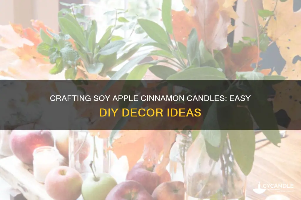 how to make and decorative soy apple cinnamon candles