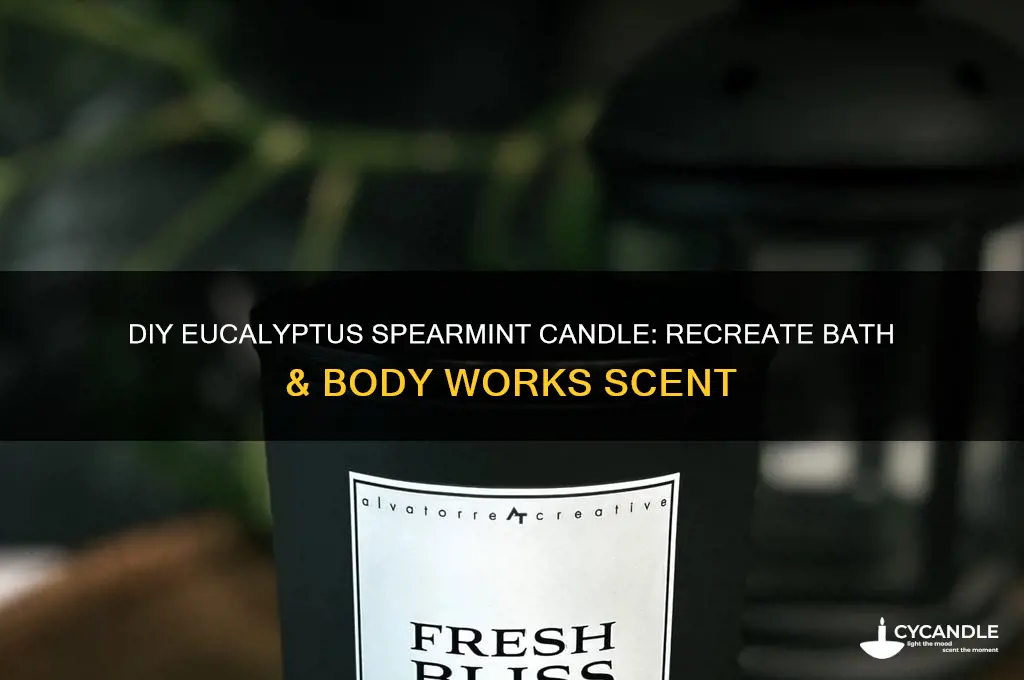 how to make bath and body works eucalyptus spearmint candle
