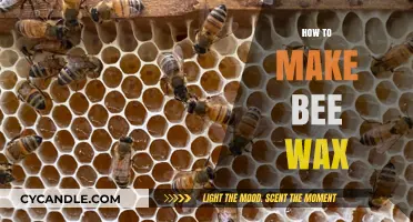 Crafting Bee Wax: A Step-by-Step Guide to Homemade Production