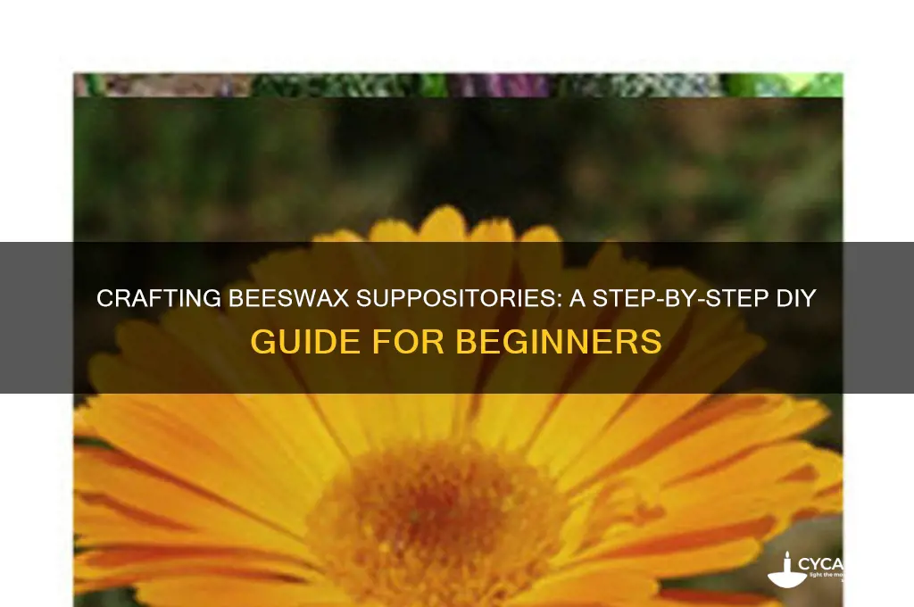 how to make bees wax suppositories