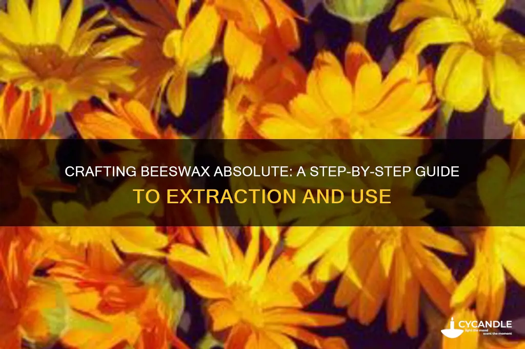 how to make beeswax absolute