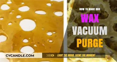 Mastering Bho Wax Vacuum Purge: A Step-by-Step Guide for Beginners