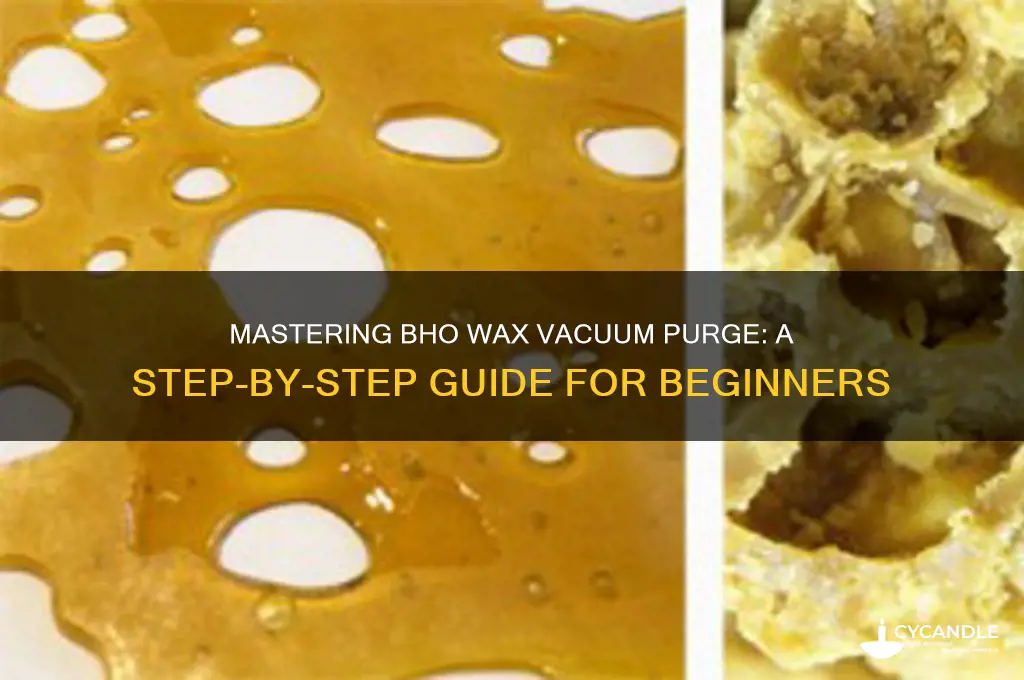 how to make bho wax vacuum purge