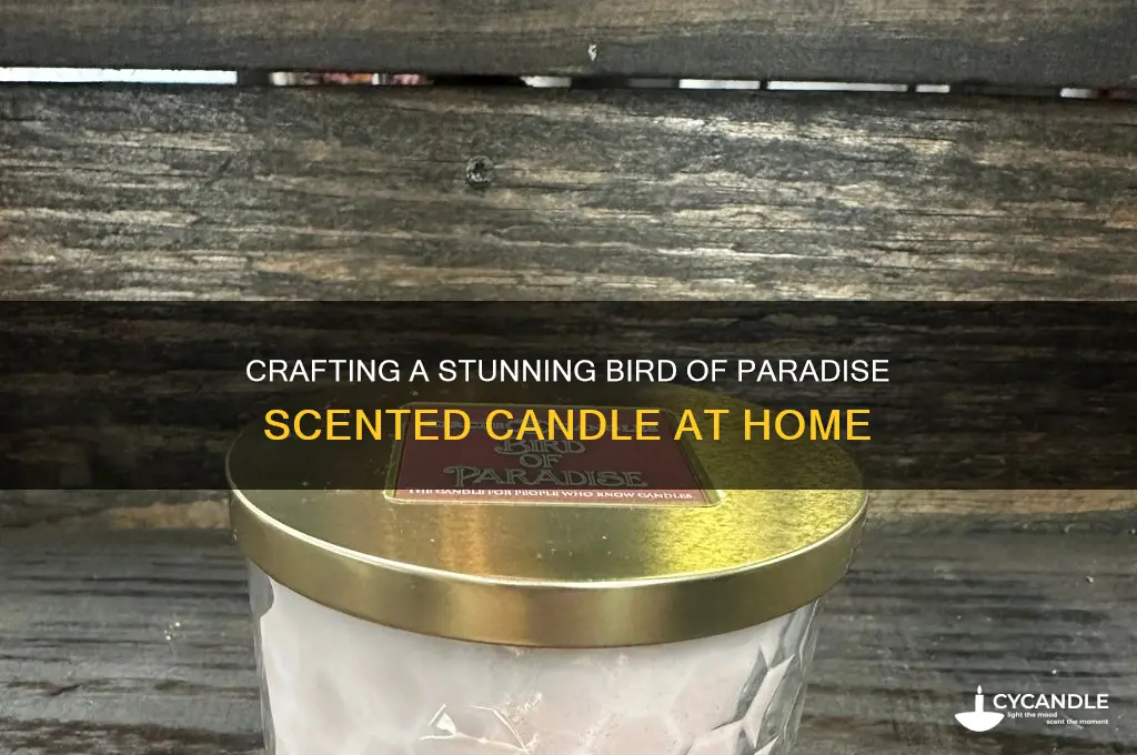 how to make bird of paradise candle