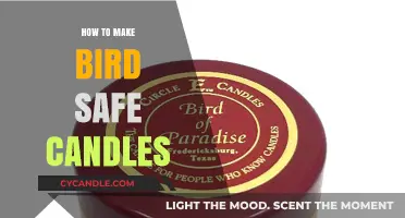 Crafting Bird-Safe Candles: Eco-Friendly Tips for Pet-Friendly Homes