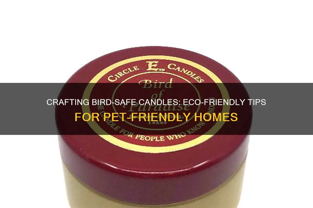 how to make bird safe candles