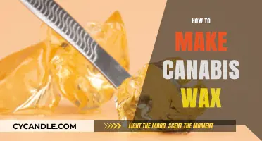 Mastering Cannabis Wax Extraction: A Step-by-Step DIY Guide