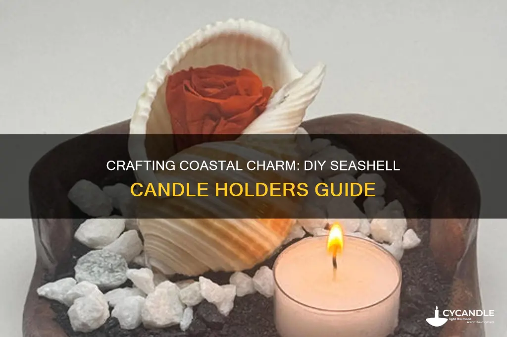 how to make candle holders from seashells