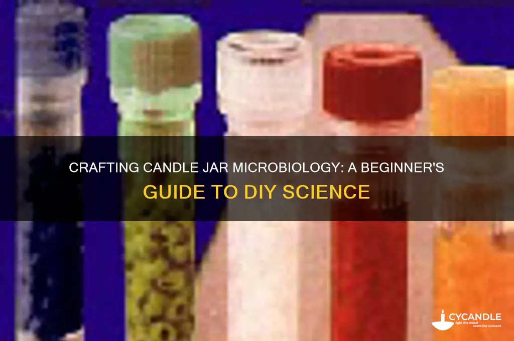 how to make candle jar microbiology