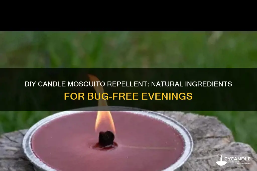 how to make candle mosquito repellent