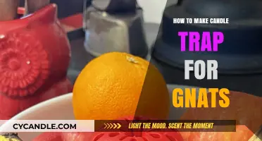 Effective DIY Candle Trap to Eliminate Gnats from Your Home