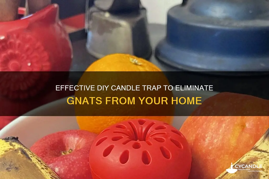how to make candle trap for gnats