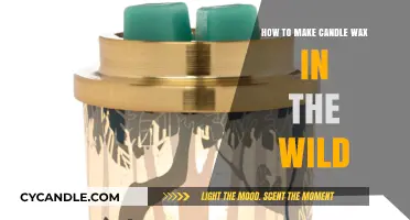 Crafting Candle Wax in Nature: A Survivalist's Guide to Wild Illumination
