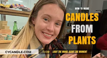 Crafting Plant-Based Candles: A Step-by-Step Eco-Friendly Guide
