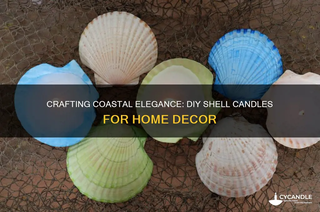 how to make candles from shell