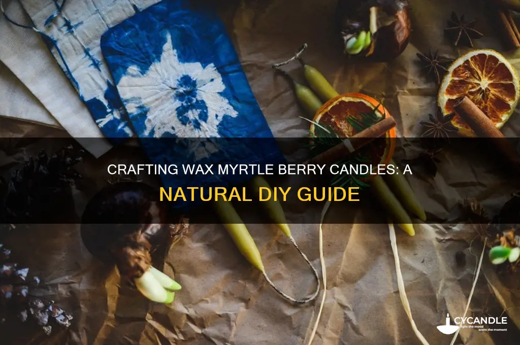 how to make candles from wax myrtle berries