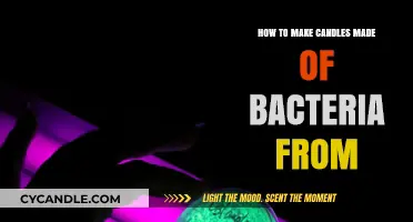 Crafting Bioluminescent Bacterial Candles: Eco-Friendly DIY Lighting Guide