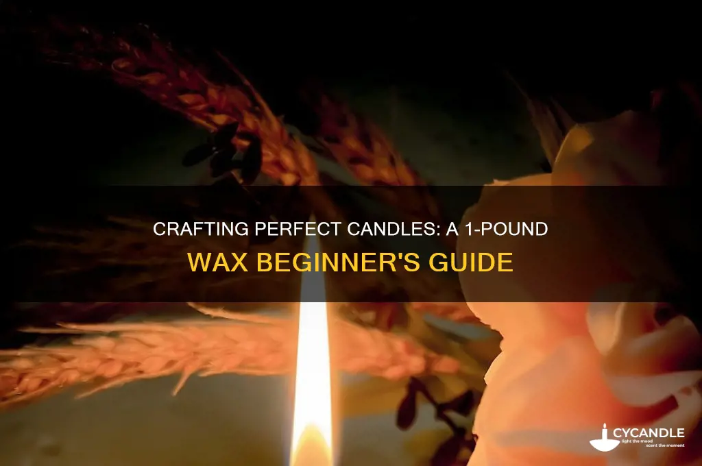 how to make candles with 1 lbs of wax