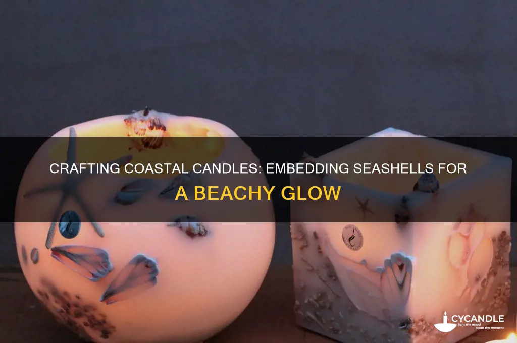 how to make candles with seashells in them