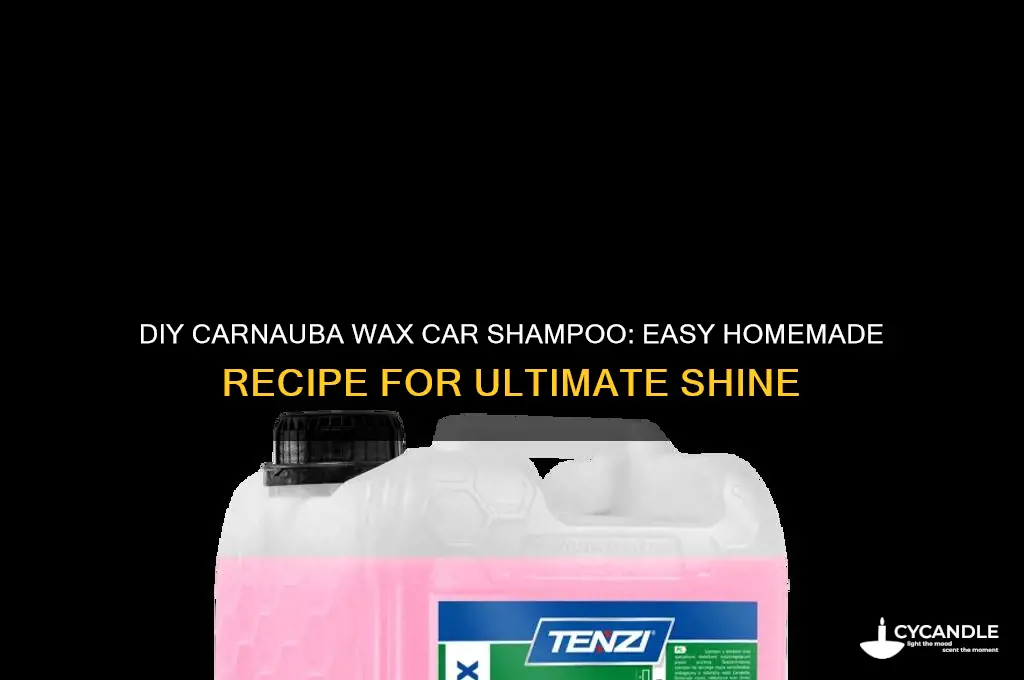 how to make car shampoo with carnauba wax