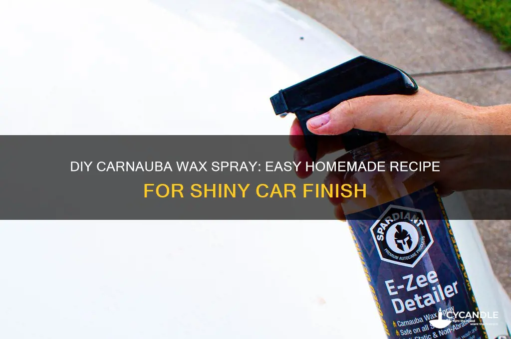 how to make carnauba wax spray